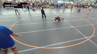 144 lbs Champ. Round 3 - Andrew McCarthy, New York Military Academy vs Carter Price, Unattached