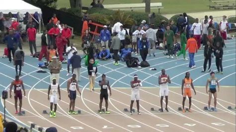 M 100 H01 (Brown with the upset!)