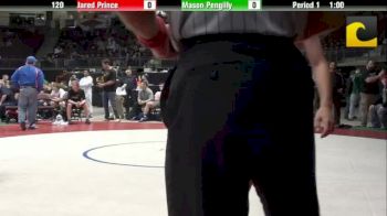 120 lbs 3rd-place-match Mason Pengilly California vs. Jared Prince Florida