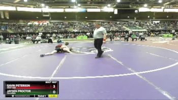 132 lbs Champ. Round 3 - Gavin Peterson, West Side vs Jayden Proctor, Columbia