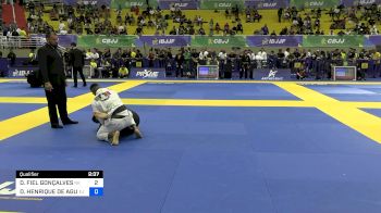 DIEGO FIEL GONÇALVES vs DAVID HENRIQUE DE AGUIAR 2024 Brasileiro Jiu-Jitsu IBJJF