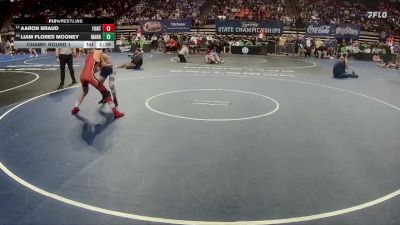 D 1 126 lbs Champ. Round 1 - Liam Flores Mooney, Mandeville vs Aaron Braud, Fontainebleau