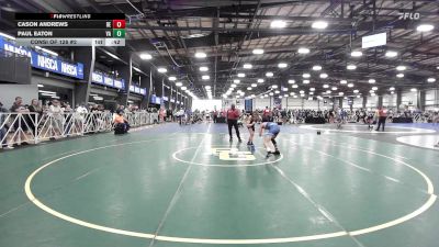 106 lbs Consi Of 128 #2 - Cason Andrews, DE vs Paul Eaton, VA