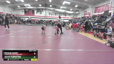 49-54 lbs Round 2 - Payslee Query, Carrollton Youth Wrestling vs Tatum Rubinstein, Wentzville Wrecking Crew