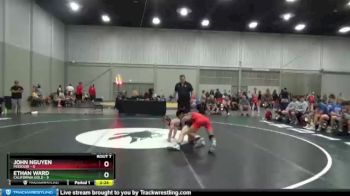 106 lbs Semis & 1st Wrestleback (8 Team) - John Nguyen, Missouri vs Ethan Ward, California Gold