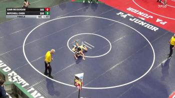 132 lbs Final - Liam McGuigan, Saucon Valley vs Mitchell Chen, Quakertown