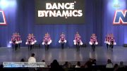 Dance Dynamics - Senior Large Pom [2026 Senior - Premier - Pom - Large] 2026 NDA All-Star National Championship