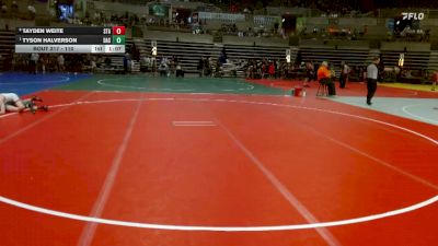 110 lbs Quarterfinal - Tyson Halverson, Dassel-Cokato-Litchfield vs Tayden Weite, Staples