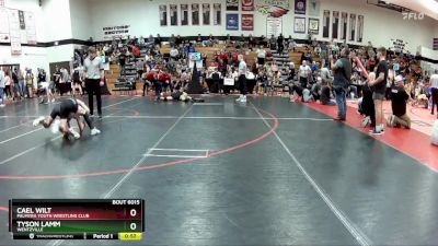 85 lbs Round 2 - Tyson Lamm, Wentzville vs Cael Wilt, Palmyra Youth Wrestling Club