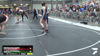 190 lbs Semifinal - Payton Sholander, South Central Punishers vs Alison Coykendall, Smoky Valley