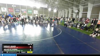 45 lbs Quarters & Wb (16 Team) - Nicholas Harris, Sanderson Wrestling Academy vs Wesley Adams, Salem Elite Wrestling