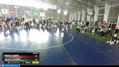 45 lbs Quarters & Wb (16 Team) - Nicholas Harris, Sanderson Wrestling Academy vs Wesley Adams, Salem Elite Wrestling