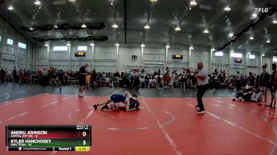 113 lbs Round 2 (4 Team) - Kyler Hanchosky, Ohio Titan vs Andru Johnson, Capital City WC