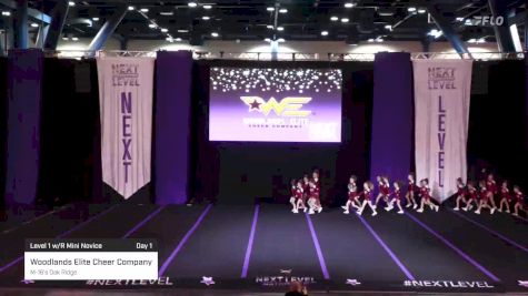 Woodlands Elite Cheer Company - M-16's Oak Ridge [2023 Level 1 w/R Mini Novice Day 1] 2023 Next Level Nationals-Houston