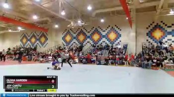 106 lbs Quarterfinal - Olivia Harden, Wabash vs Joy Cantu, Merrillville