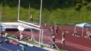 Pole Vault (Allison - Sub-Districts)