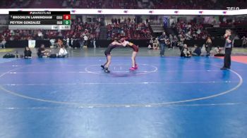 115 lbs Champ. Round 2 - Brooklyn Lanningham, Columbia vs Peyton Gonzalez, Caldwell