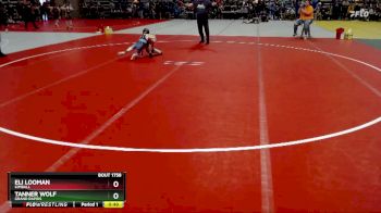 55 lbs Semifinal - Eli Looman, Kimball vs Tanner Wolf, Grand Rapids