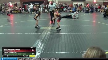 50 lbs Round 3 (4 Team) - Paxton Holcombe, Team Palmetto vs Teagan Fields, Contenders Wrestling Academy Green