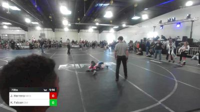 73 lbs Quarterfinal - Jonah Herrera, NM Gold vs Kyzer Falcon, Division Bell