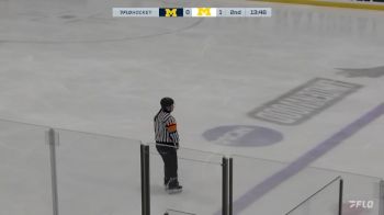 Replay: Home - 2024 Michigan vs Michigan Dearborn | Mar 14 @ 10 AM