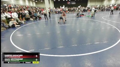 88 lbs Cons. Round 3 - Davis Westendorf, Immortal Athletics WC vs Harper Hamacher, MN Elite Wrestling Club