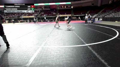 149 lbs Consolation - Cameron Curva, Ferrum College (NCAA) vs David Norris, Apprentice