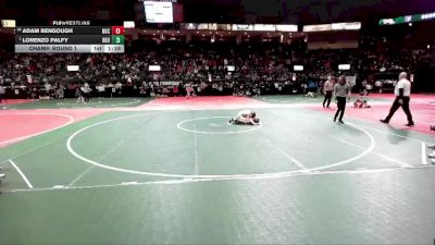 65 lbs Champ. Round 1 - Lorenzo Palfy, BKV1 vs Adam Bengough, BUC2