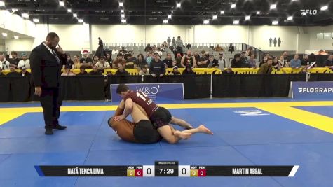 Martin Abeal vs Natã Tenca Lima 2025 World IBJJF Jiu-Jitsu No-Gi Championship