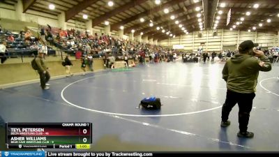 92 lbs Champ. Round 1 - Teyl Petersen, Delta Wrestling Club vs Asher Williams, Bear Cave Wrestling Club