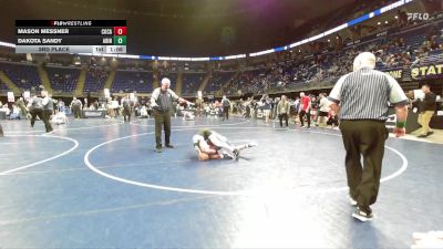 110 lbs 3rd Place - Mason Messner, Cocalico vs Dakota Sandy, Abington Heights