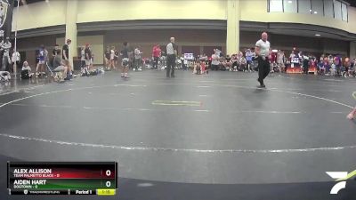 108 lbs Round 1 (6 Team) - Aiden Hart, Dogtown vs Alex Allison, Team Palmetto Black