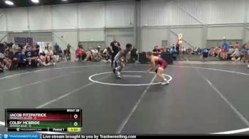 113 lbs Placement Matches (16 Team) - Jacob Fitzpatrick, Minnesota Silver vs Colby Mcbride, Georgia Blue