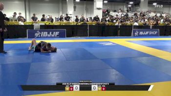 Nelson James Cox vs Michael Iakovenko 2026 American National IBJJF Jiu-Jitsu Championship
