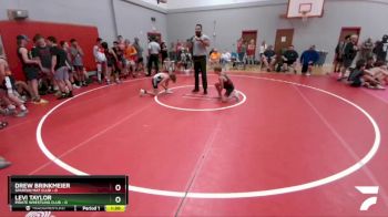 90 lbs Round 5 (6 Team) - Levi Taylor, Pirate Wrestling Club vs Drew Brinkmeier, Spartan Mat Club