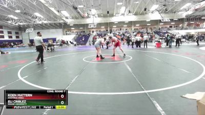 285 lbs Cons. Round 7 - Eli Criblez, Doane University vs Koen Mattern, Hastings (Neb.)