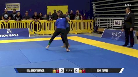 Edna Torres vs Elva E Montemayor 2025 Pan IBJJF Jiu-Jitsu No-Gi Championship