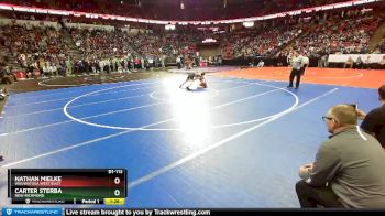 D1-113 lbs Quarterfinal - Nathan Mielke, Wauwatosa West/East vs Carter Sterba, New Richmond