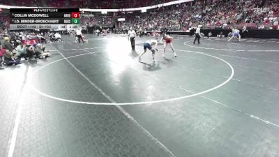 D1-150 lbs Quarterfinal - Collin McDowell, Arrowhead vs J.D. Minder-Broeckaert, Hudson