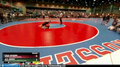 97-105 lbs Round 1 - Ace Green, Greenwave Youth Wrestling Club vs Cole Vickers, Spring View Middle School