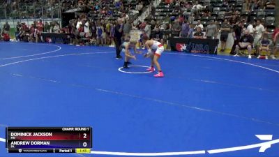 86 lbs Champ. Round 1 - Dominick Jackson, MN vs Andrew Dorman, PA