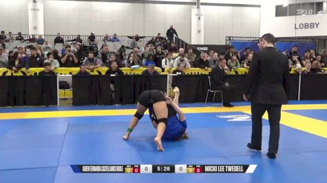 Micki Lee Twedell vs Karen Fernanda Castellanos Roble 2024 World IBJJF Jiu-Jitsu No-Gi Championship