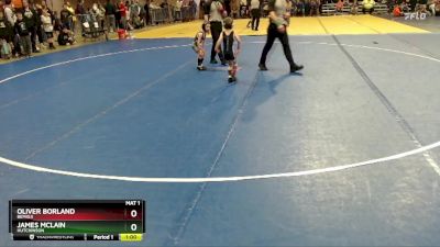 40 lbs Quarterfinal - James McLain, Hutchinson vs Oliver Borland, Bemidji