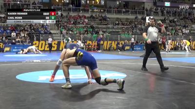 157 lbs Cons. Round 2 - Cael Robb, Neb.-Kearney vs Kaden Renner, UMary