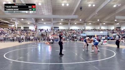 A 157 lbs Champ. Round 1 - Landon Shaw, Livingston Academy vs Elian Torres, White House High School