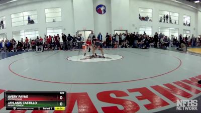 100 lbs Cons. Round 3 - Avery Payne, Spotsylvania vs Jaylanis Castillo, Mount Vernon