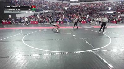 81 lbs Champ. Round 2 - Gabe Strickland, Cumberland vs Max Akkerman, Wisconsin Rapids