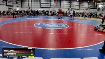 165 lbs Round 3 (4 Team) - Brady Ming, HEAVY HITTING HAMMERS vs Liam Sheldon, HANOVER HAWKEYE