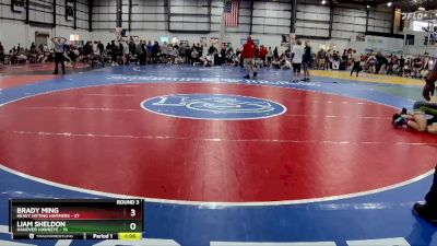 165 lbs Round 3 (4 Team) - Brady Ming, HEAVY HITTING HAMMERS vs Liam Sheldon, HANOVER HAWKEYE