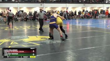 125 lbs Round 1 (10 Team) - Colton Weimer, Adrian vs Luca Paladino, University Of Wisconsin - Stevens Point